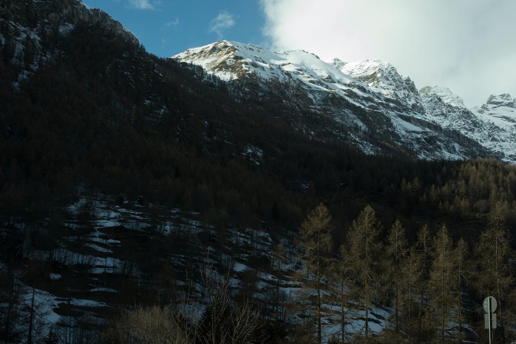 Hotel Etoile De Neige Valtournenche Zewnętrze zdjęcie